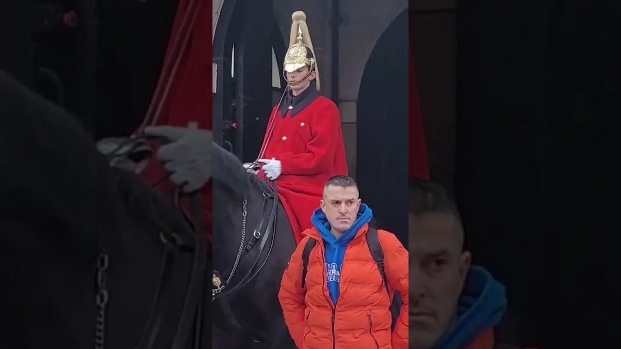 Touching the Reins he got a vibe #horseguardsparade