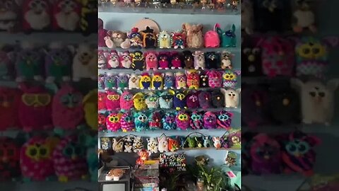 Furby Room Tiktok thefurbywizard