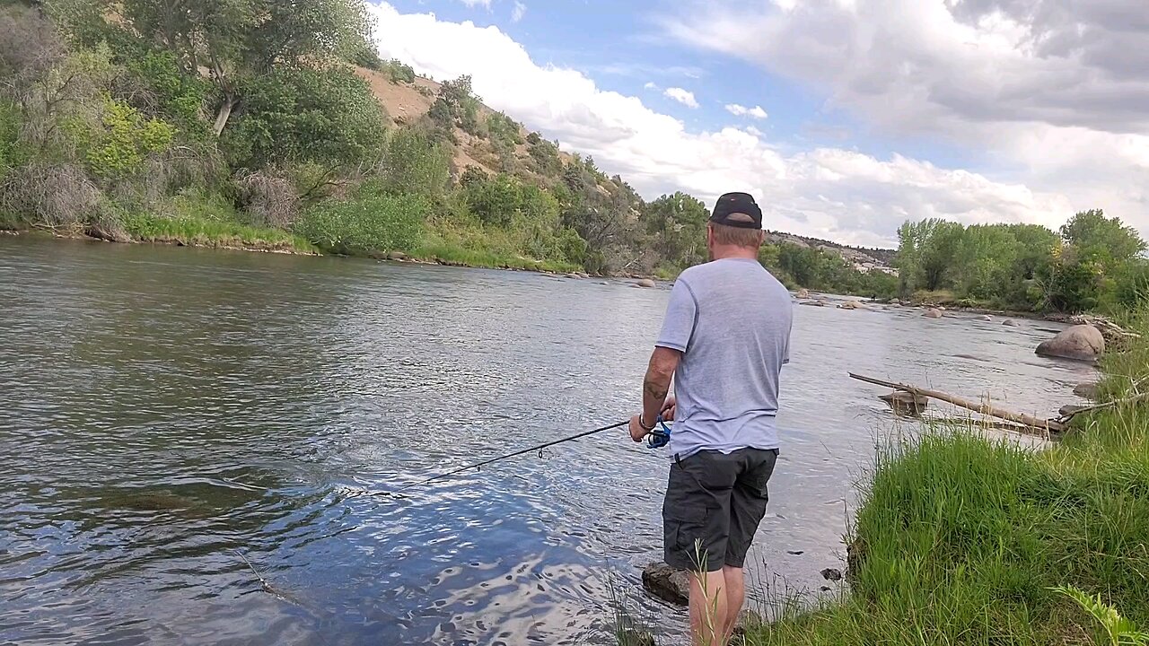 Trout Fishing in Colorado