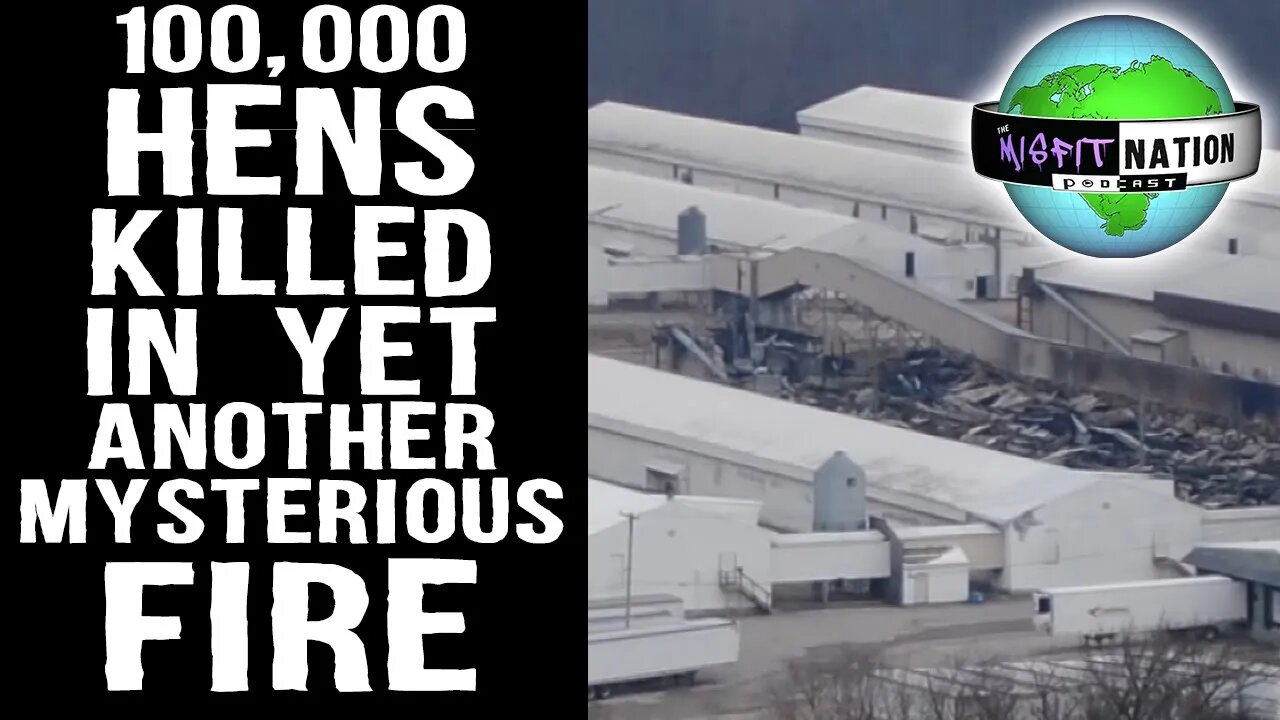 100,000 Hens Killed in Fire