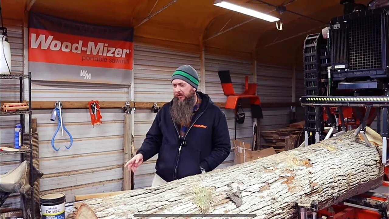 A Log With White Gold Under It's Bark, This One Is A Money Maker