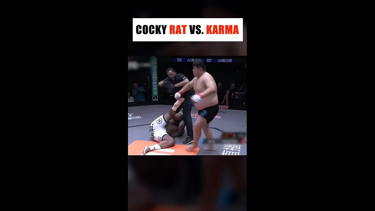 Sneaky Rat Got Karma!#MMA#Fight#ring