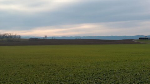 Week In Review And What's Next