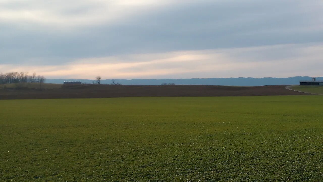 Week In Review And What's Next