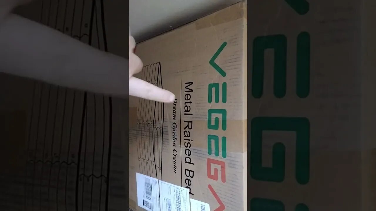 The next Walk Around review video?