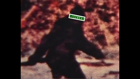 Bigfoot The Mysterious Monster 1975