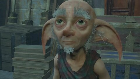 pai do Dobby - Hogwarts Legacy #8