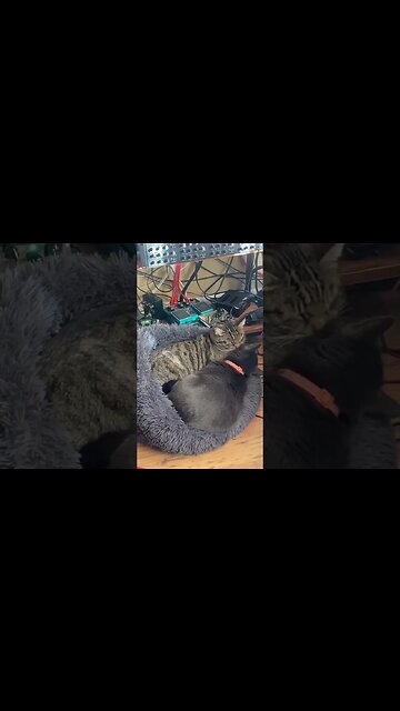 Is the whole world suddernly getting smaller or?