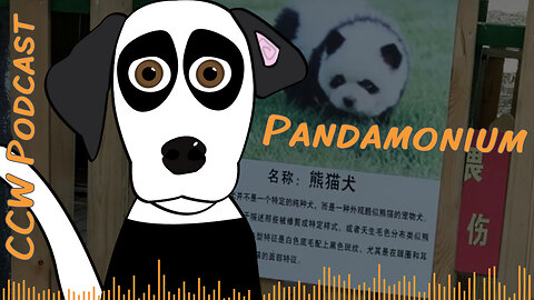 Pandamonium!