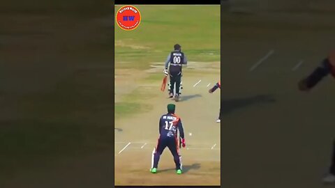 funny cricket videos