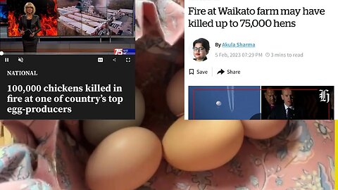 Outrageous Food War: The Secret to Clean Chicken Eggs Revealed @greengregs
