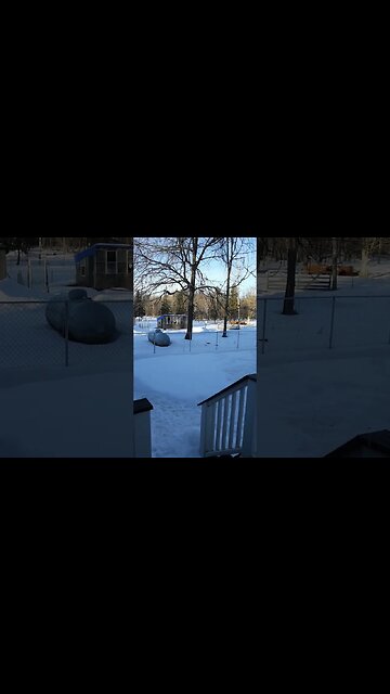 Grilling in February