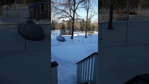 Grilling in February