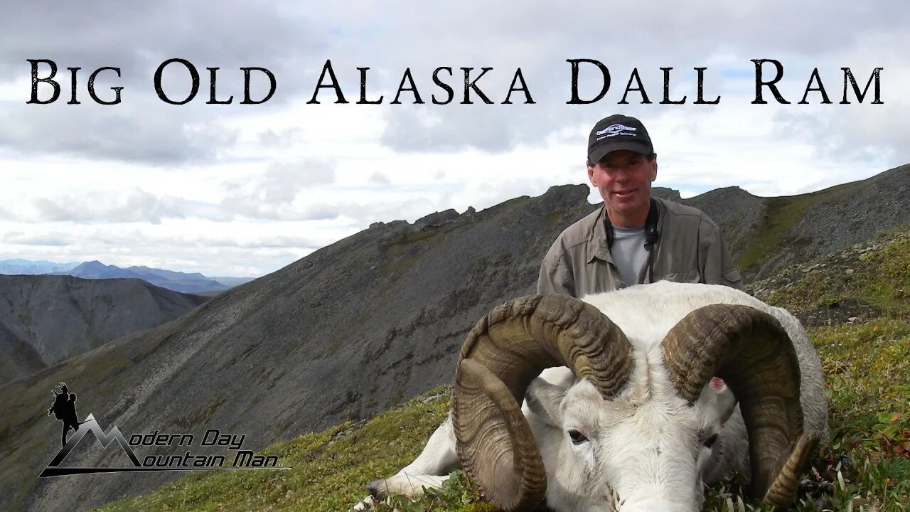 Big, Old Alaska Dall Ram, Modern Day Mountain Man Season 4, Episode #3