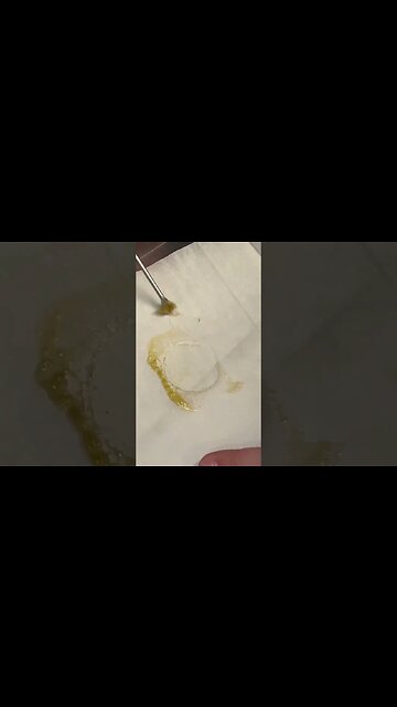 MAC - Jungle Boys - 23% Yield Rosin Made Simple®Learn more at NugSmasher.com