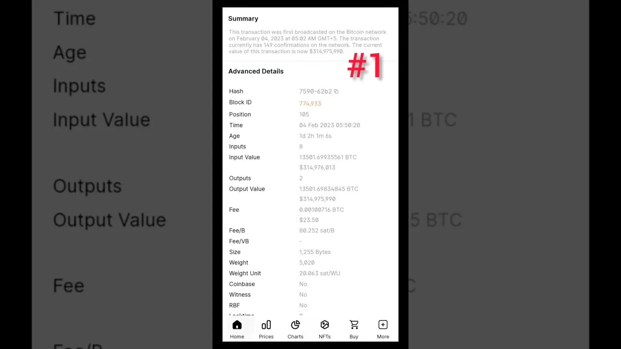 The Mega Crypto Whale Moves: Insights on Bitcoin and Ethereum Transfers