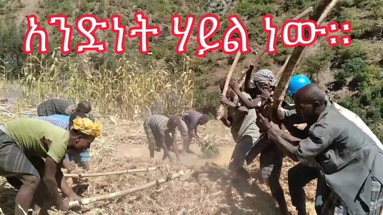 💥 አንድነት ሃይል ነው። Unity is Power! (#ወሎ ፥ #አርጎባ) #ethiopia