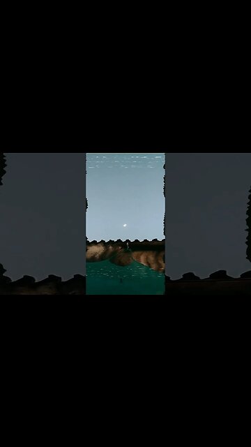 Tarde-Noche. Perros, gato y luna #tacuarembó #uruguay (01/02/2023)