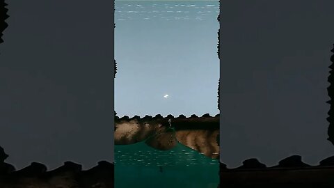 Tarde-Noche. Perros, gato y luna #tacuarembó #uruguay (01/02/2023)
