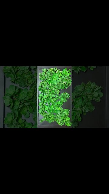 Save space with vertical succulent planters.