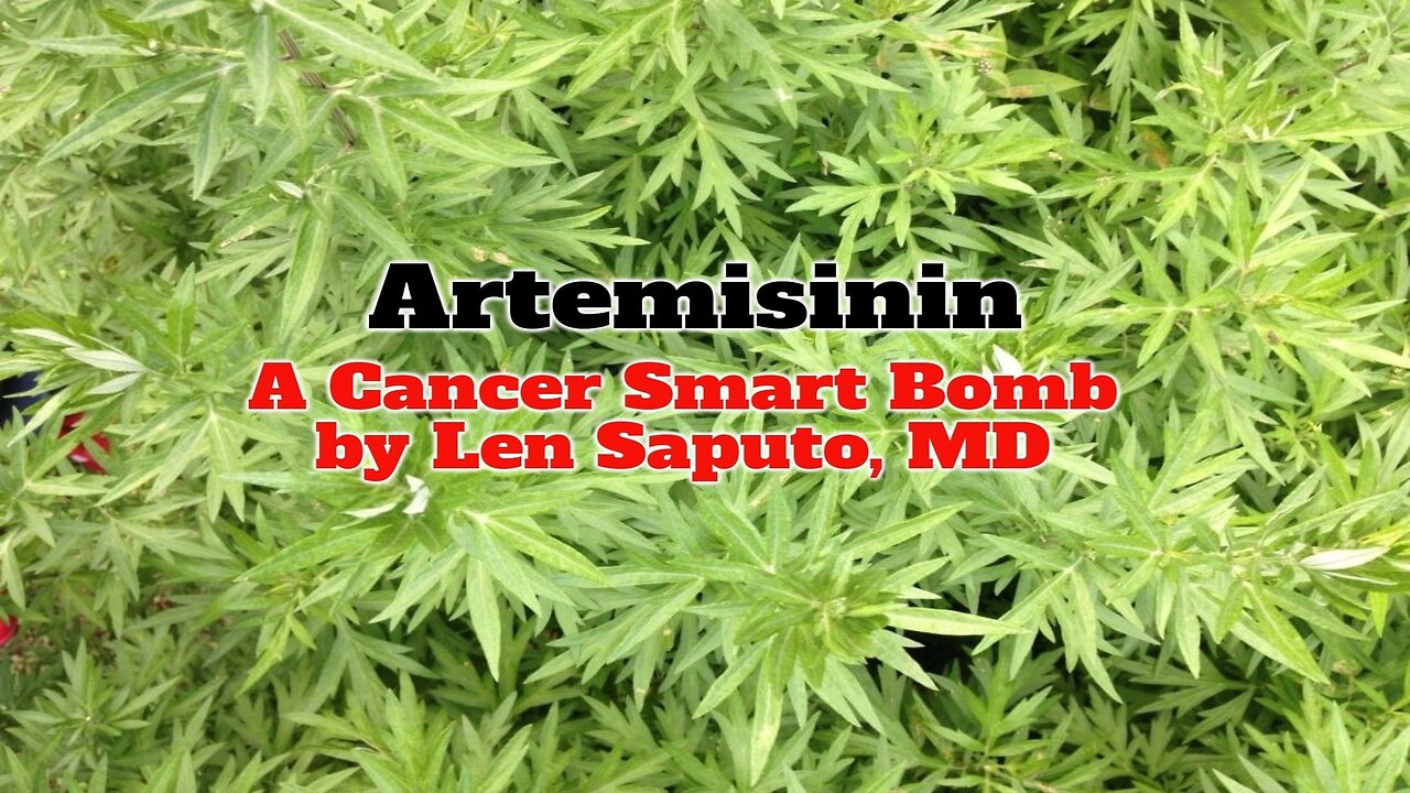 Artemisinin: A Cancer Smart Bomb by Len Saputo, MD