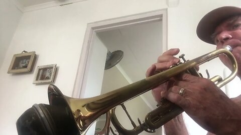 Sea Sharp Scale With Live Trumpet Valve View