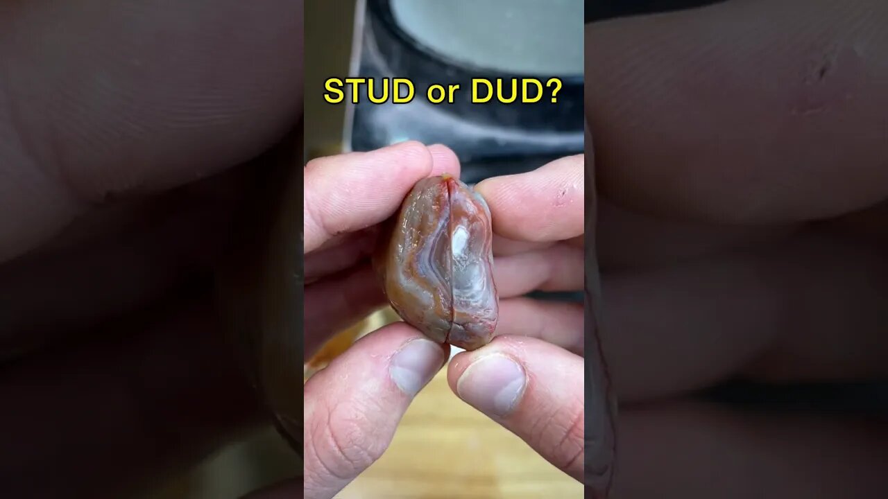 STUD or DUD? Cutting agate open w/ lapidary saw