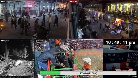 🎊 Saturday Night Mardi Gras Extravaganza | 🦅Eagle Cam