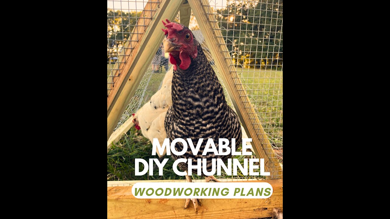 We Built a DIY Moveable Chicken Tunnel (Chunnel) Plans Now Available