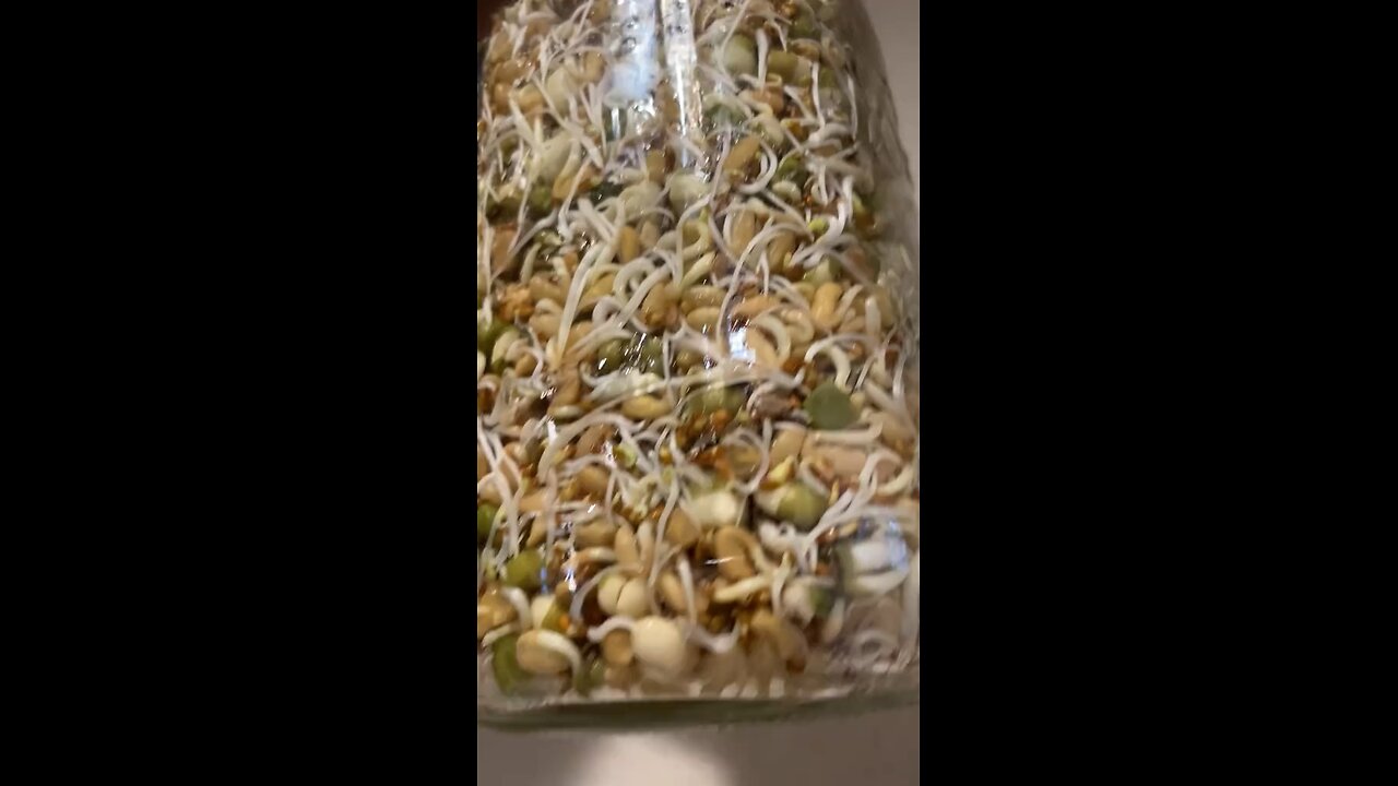 Seed Sprouted Tea For Plants