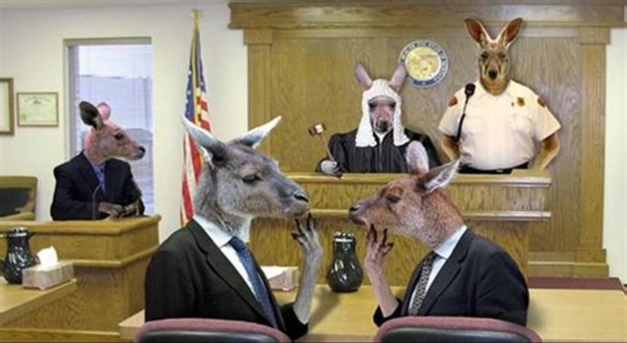 The Injustice System And Kangaroo Court