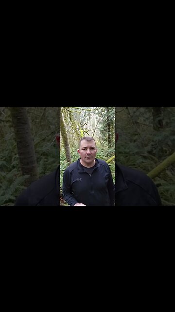 Trail cam update 6 #nopredators #deercam #squirrel