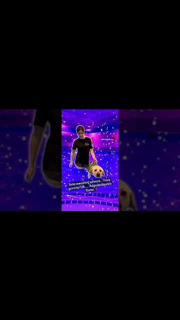 Starwars and Dogs #dog