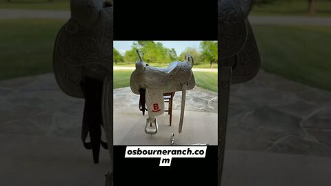 Horse Saddles