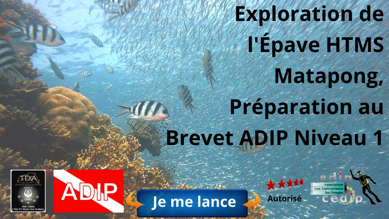 🐢 Exploration de l'Épave HTMS Matapong, Préparation au Brevet ADIP Niveau 1 avec Exercices à Pattaya