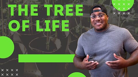 The Tree of Life