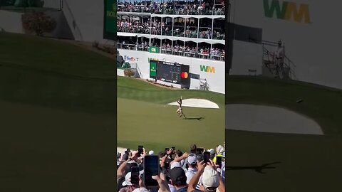 Golf Streaker at the Phoenix Open 🤣 #shortsvideo #shorts #short