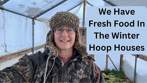 Winter Hoop Houses Survived The Storm And Gave Us Fresh Food