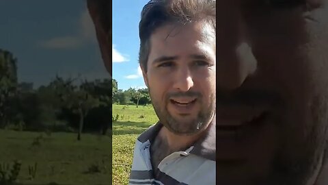 O perito não pode estar colar sua área do conhecimento