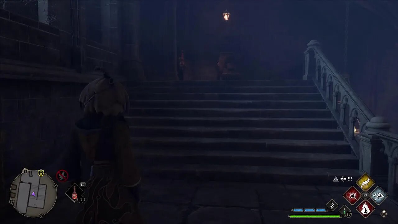 Hogwarts Legacy :) Story? No Im Stealing