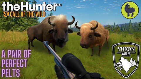 A Pair of Perfect Pelts, Yukon Valley | theHunter: Call of the Wild (PS5 4K)