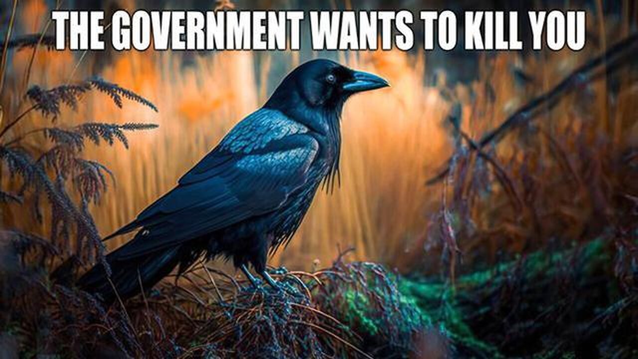 WHITE REPLACEMENT IS NO LONGER A THEORY.