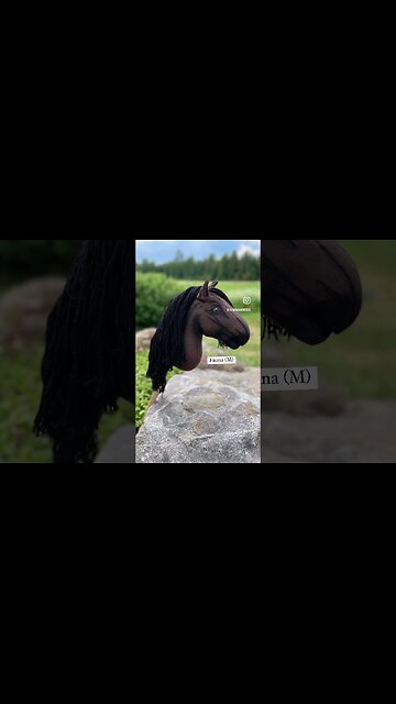 the brown hobby horses