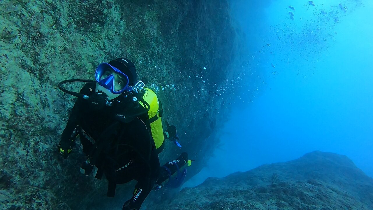 Elbow Beach, Bermuda: Scuba Dive