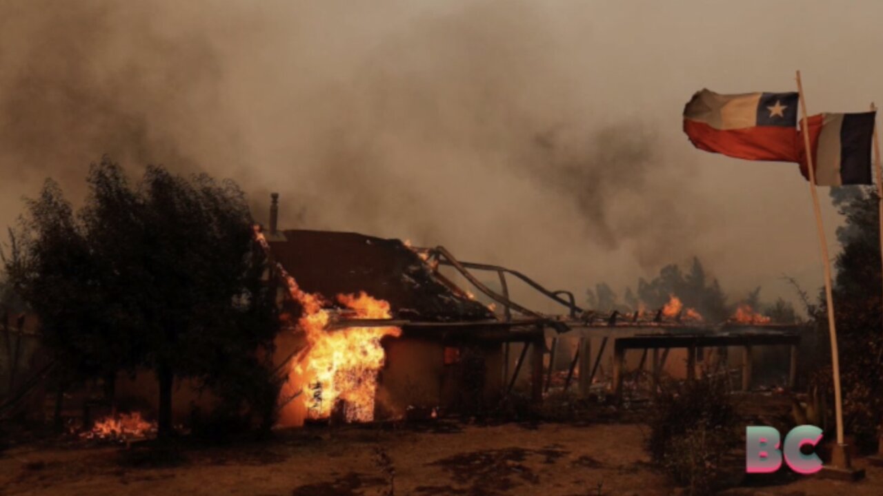 Chile wildfires leave at least 22 people dead, officials say