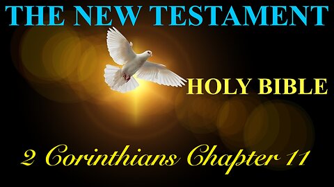 2 Corinthians - Chapter 11 DAILY BIBLE STUDY {Spoken Word - Text - Red Letter Edition}