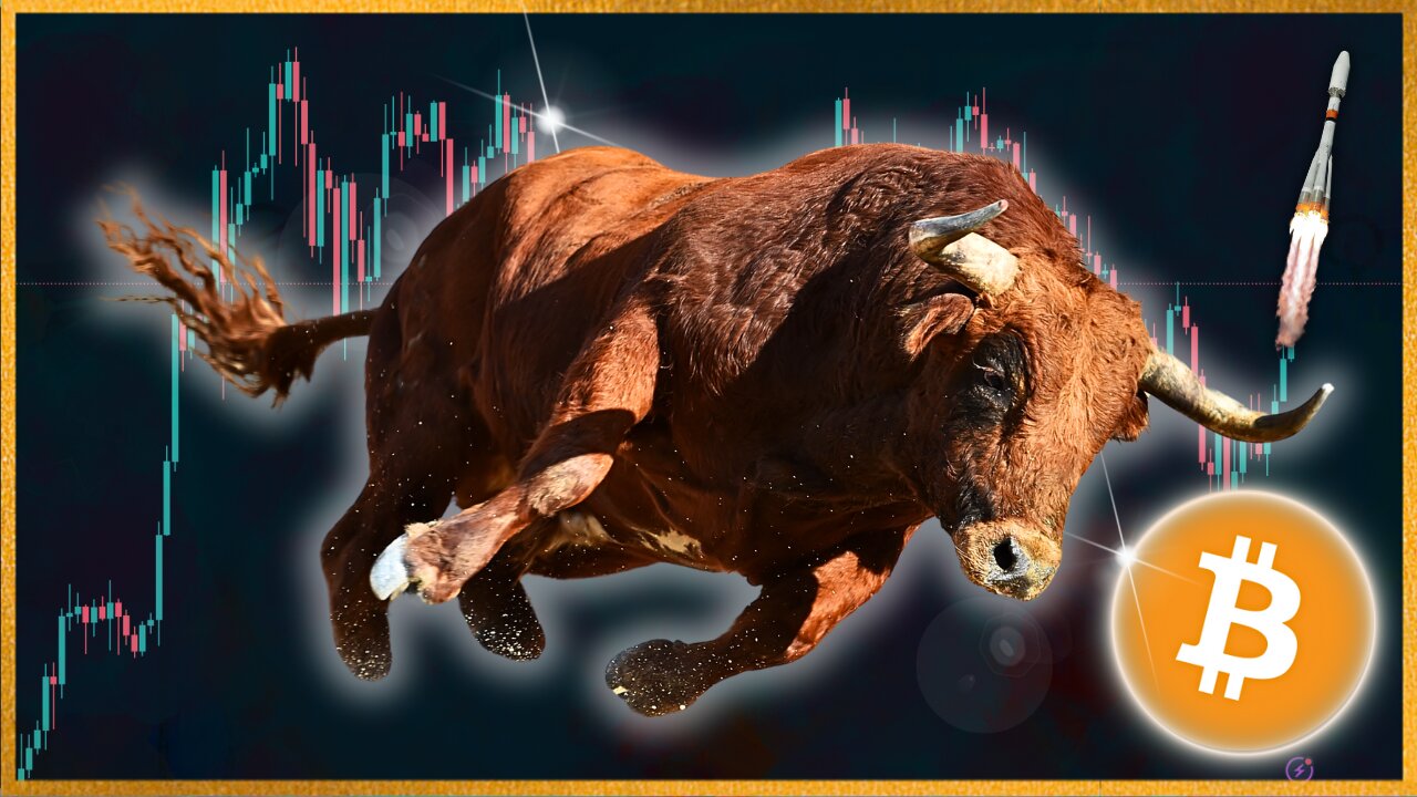 CRYPTO BULL RUN DECODED (2024)