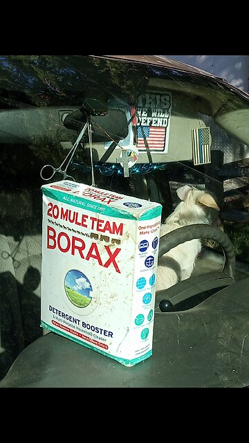 Peace with Jesus peaceful sound of strings 🤠