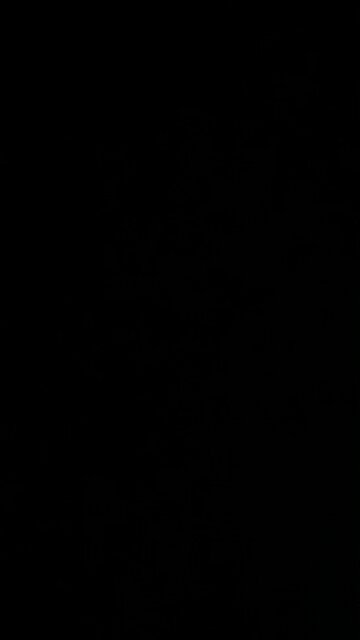 Bogus felony convictions