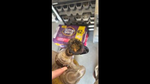 Day 13 Jimmy and Alan made a song